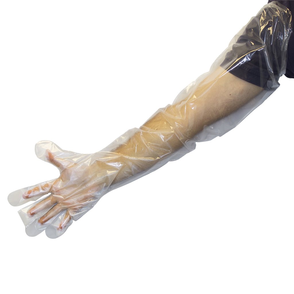 Shoulder Length Poly Gloves - 
35&quot; Clear W/Elastic 1.65mm 
band,100ea/bg,10bg/cs;1000/cs 